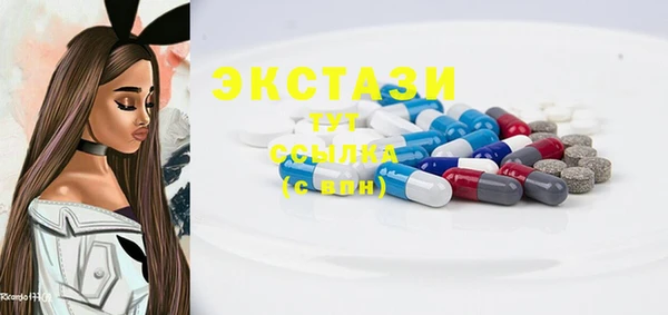 индика Сатка