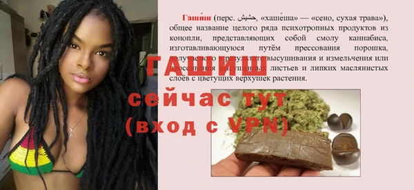 индика Сатка