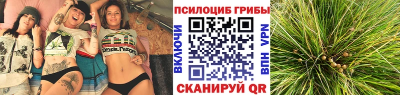 Псилоцибиновые грибы MAGIC MUSHROOMS Ростов