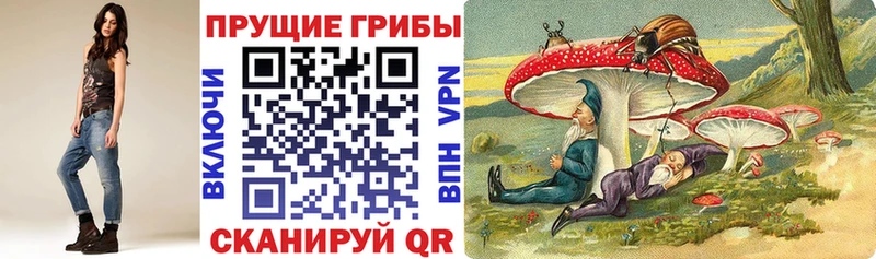 Галлюциногенные грибы Psilocybine cubensis  Ростов 