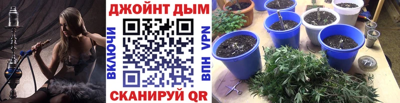 Конопля MAZAR  Ростов 